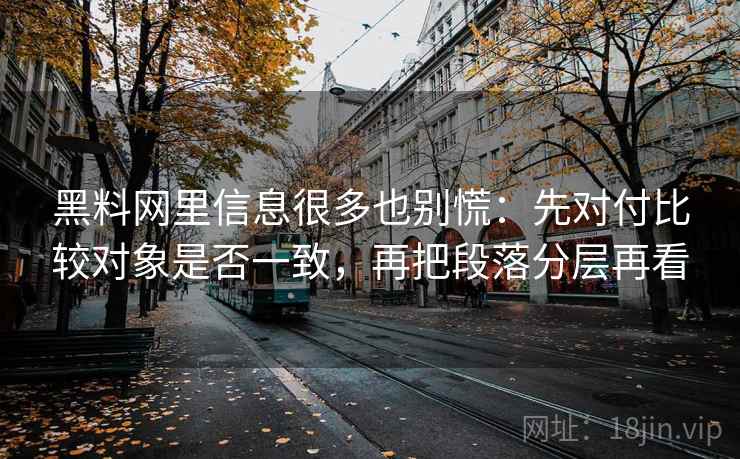 黑料网里信息很多也别慌：先对付比较对象是否一致，再把段落分层再看
