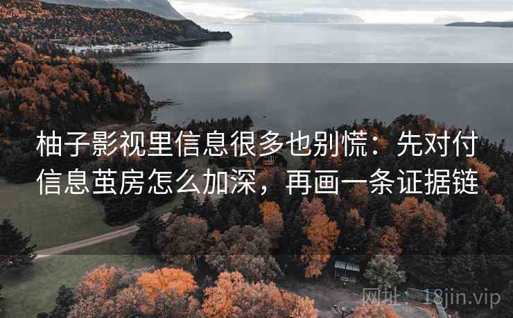 柚子影视里信息很多也别慌：先对付信息茧房怎么加深，再画一条证据链